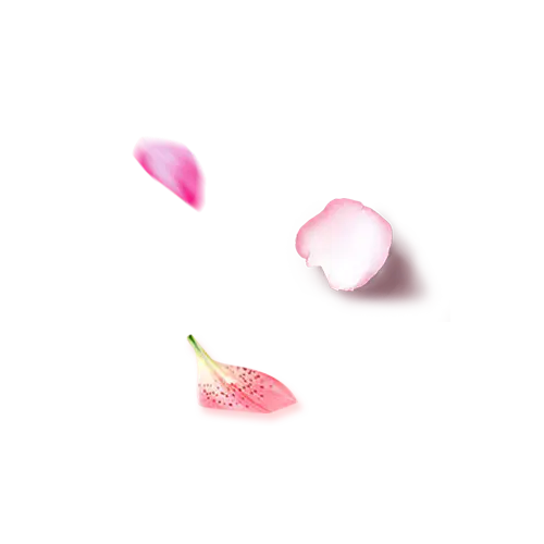 【PNG素材网-png.mixinnet.cn】飘落唯美花瓣