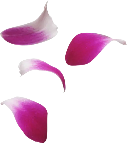 【PNG素材网-png.mixinnet.cn】装饰水彩花草