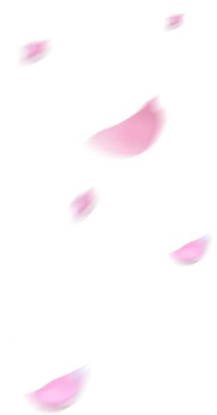 【PNG素材网-png.mixinnet.cn】花瓣免扣素材png
