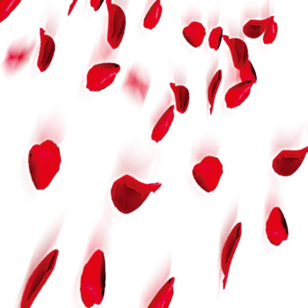 【PNG素材网-png.mixinnet.cn】花片