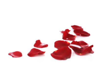 【PNG素材网-png.mixinnet.cn】红色花瓣