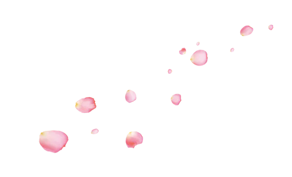 【PNG素材网-png.mixinnet.cn】粉色花瓣