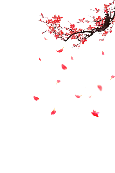 【PNG素材网-png.mixinnet.cn】中国风梅花(1181x1772)