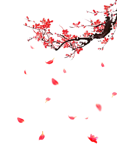 【PNG素材网-png.mixinnet.cn】梅花素材(2114x2717)
