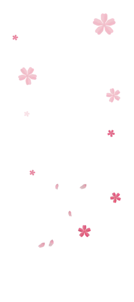 【PNG素材网-png.mixinnet.cn】樱花花朵(2205x4961)
