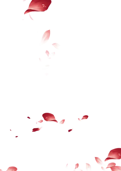 【PNG素材网-png.mixinnet.cn】漂浮的花瓣透明背景png素材(580x821)