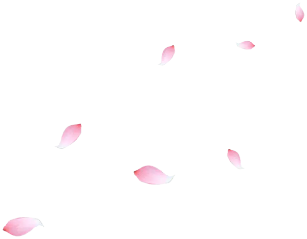 【PNG素材网-png.mixinnet.cn】漂浮花瓣(2422x1893)