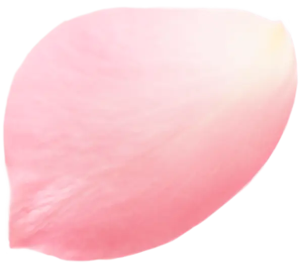 【PNG素材网-png.mixinnet.cn】粉色花瓣3(1267x1100)