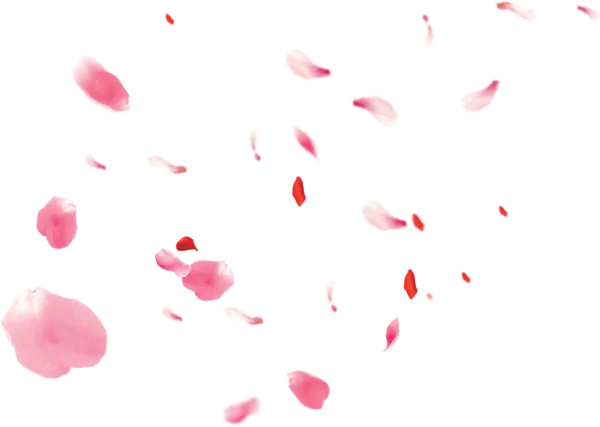 【PNG素材网-png.mixinnet.cn】飞舞花瓣背景(2645x1881)