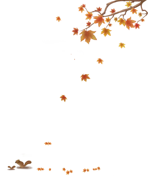 【PNG素材网-png.mixinnet.cn】秋天落叶(819x984)