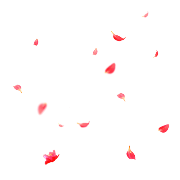 【觅图网-pic.51mitu.com】漂浮花瓣(1000x1000)