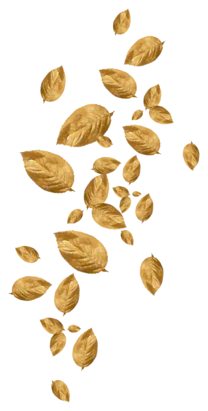 【觅图网-pic.51mitu.com】漂浮金色树叶(1217x2404)