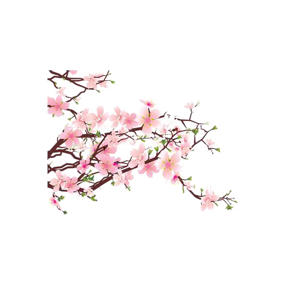 【PNG素材网-png.mixinnet.cn】粉色梅花(564x564)