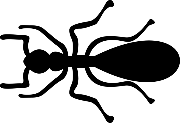 【PNG素材网-png.mixinnet.cn】蚂蚁剖面