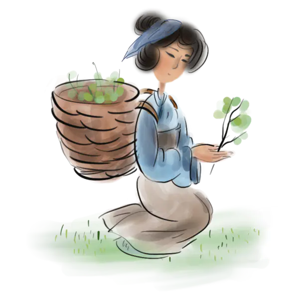 【PNG素材网-png.mixinnet.cn】手绘中医医生人物古代名医采药中医文化PNG高清透明[2000x2000]