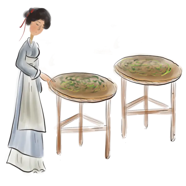 【PNG素材网-png.mixinnet.cn】手绘中医医生人物古代名医采药中医文化PNG高清透明[2000x2000]