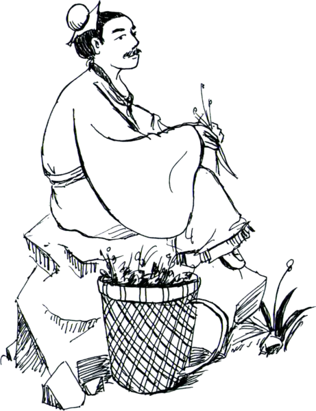 【PNG素材网-png.mixinnet.cn】手绘中医医生人物古代名医采药中医文化PNG高清透明[770x1002]