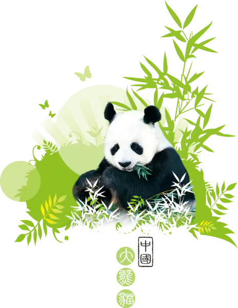 【PNG素材网-png.mixinnet.cn】中国大熊猫