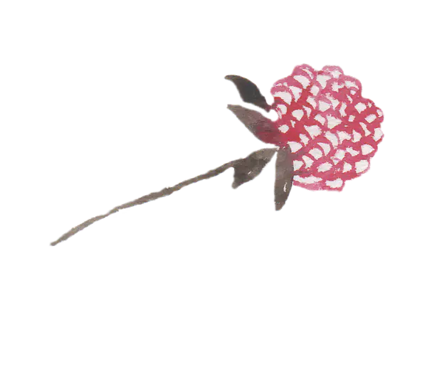 【PNG素材网-png.mixinnet.cn】水彩花朵