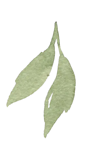 【PNG素材网-png.mixinnet.cn】水彩画树叶