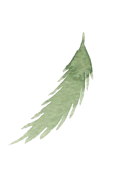 【PNG素材网-png.mixinnet.cn】水彩画树叶
