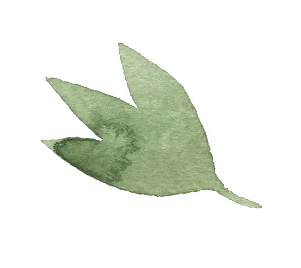 【PNG素材网-png.mixinnet.cn】水彩画树叶