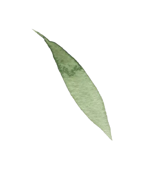 【PNG素材网-png.mixinnet.cn】水彩画树叶
