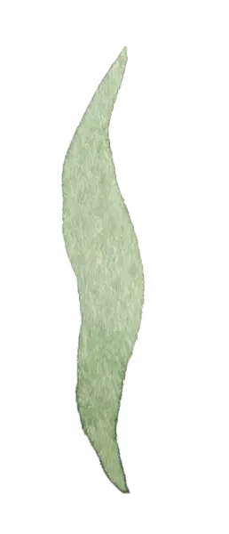 【PNG素材网-png.mixinnet.cn】水彩画树叶