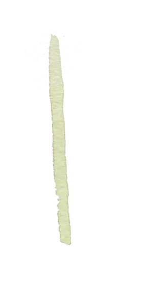 【PNG素材网-png.mixinnet.cn】水彩画树叶