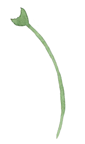 【PNG素材网-png.mixinnet.cn】水彩画树叶