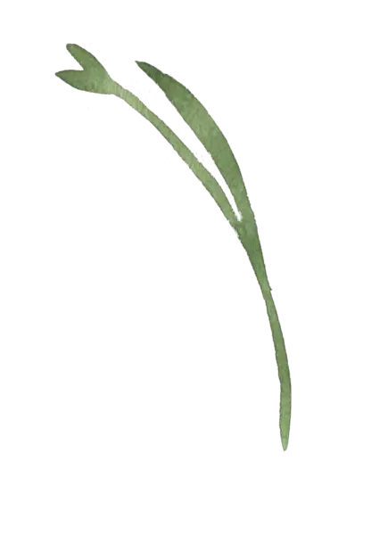 【PNG素材网-png.mixinnet.cn】水彩画树叶