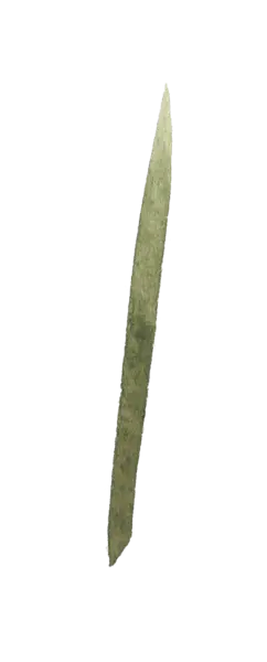 【PNG素材网-png.mixinnet.cn】水彩画树叶