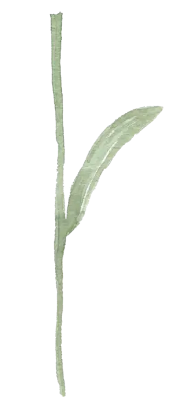 【PNG素材网-png.mixinnet.cn】水彩画树叶