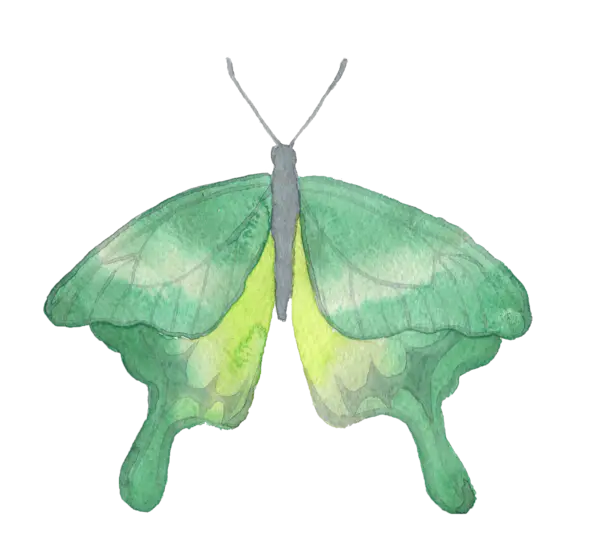 【PNG素材网-png.mixinnet.cn】水彩画蝴蝶