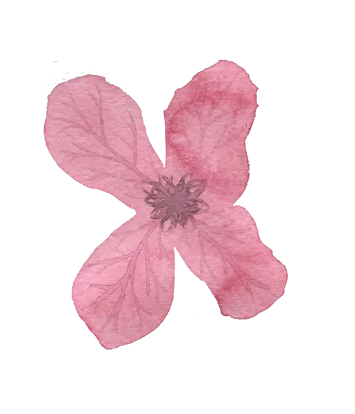 【PNG素材网-png.mixinnet.cn】创意水彩画