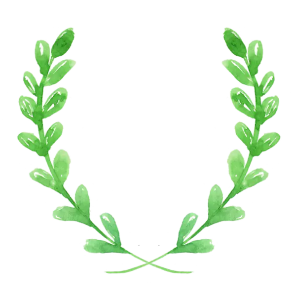 【觅图网-pic.51mitu.com】绿叶png