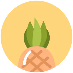 【PNG素材网-png.mixinnet.cn】if_pineapple_菠萝PNG图片
