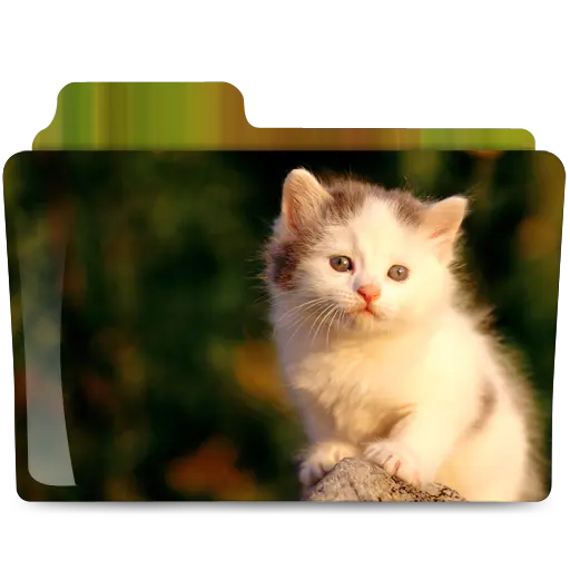 【PNG素材网-png.mixinnet.cn】小猫文件夹