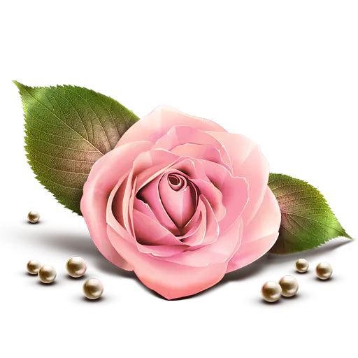 【PNG素材网-png.mixinnet.cn】qrj_2010_04