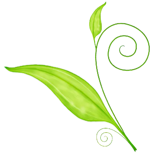 【PNG素材网-png.mixinnet.cn】green_leaf_05