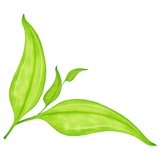 【PNG素材网-png.mixinnet.cn】green_leaf_03