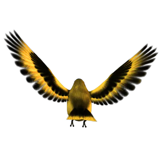 【PNG素材网-png.mixinnet.cn】golden_finch_04金丝雀