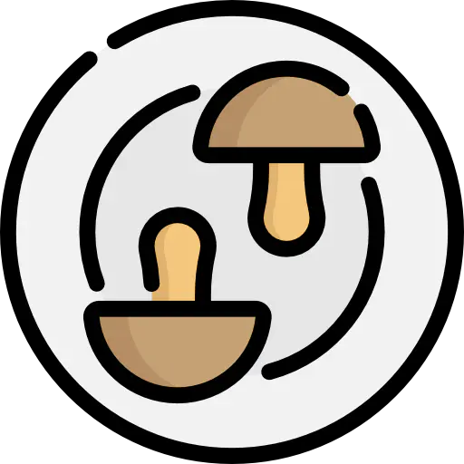 【PNG素材网-png.mixinnet.cn】mushrooms蘑菇