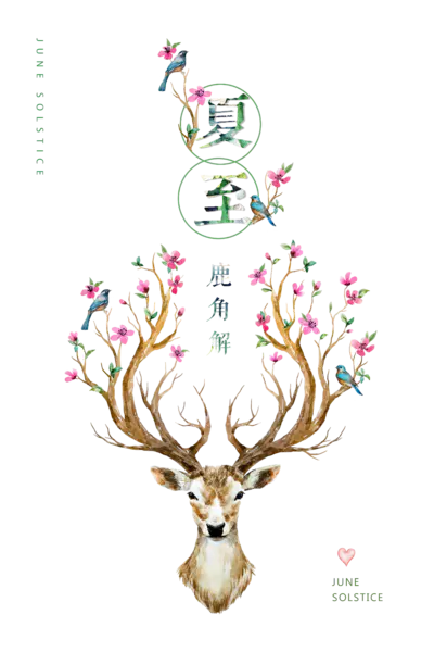 【PNG素材网-png.mixinnet.cn】夏至鹿角解