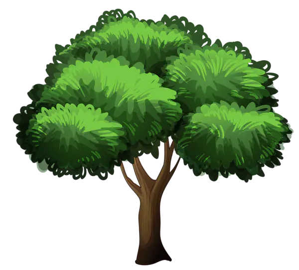 【PNG素材网-png.mixinnet.cn】数木png图片[600x543]