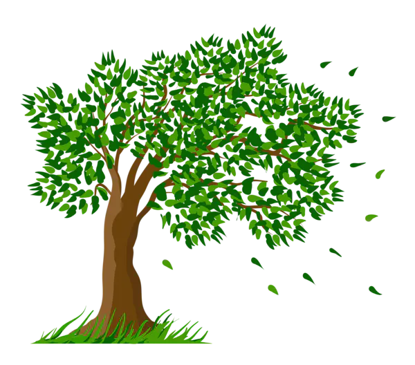 【PNG素材网-png.mixinnet.cn】数木png图片[600x528]