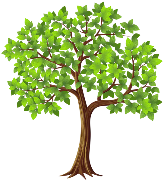 【PNG素材网-png.mixinnet.cn】数木png图片[544x600]