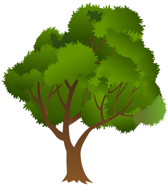 【PNG素材网-png.mixinnet.cn】数木png图片[545x600]