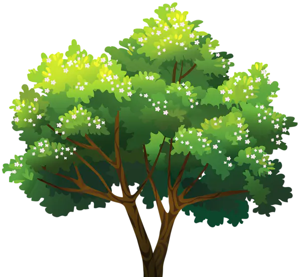 【PNG素材网-png.mixinnet.cn】数木png图片[600x552]