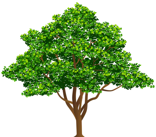 【PNG素材网-png.mixinnet.cn】数木png图片[600x527]